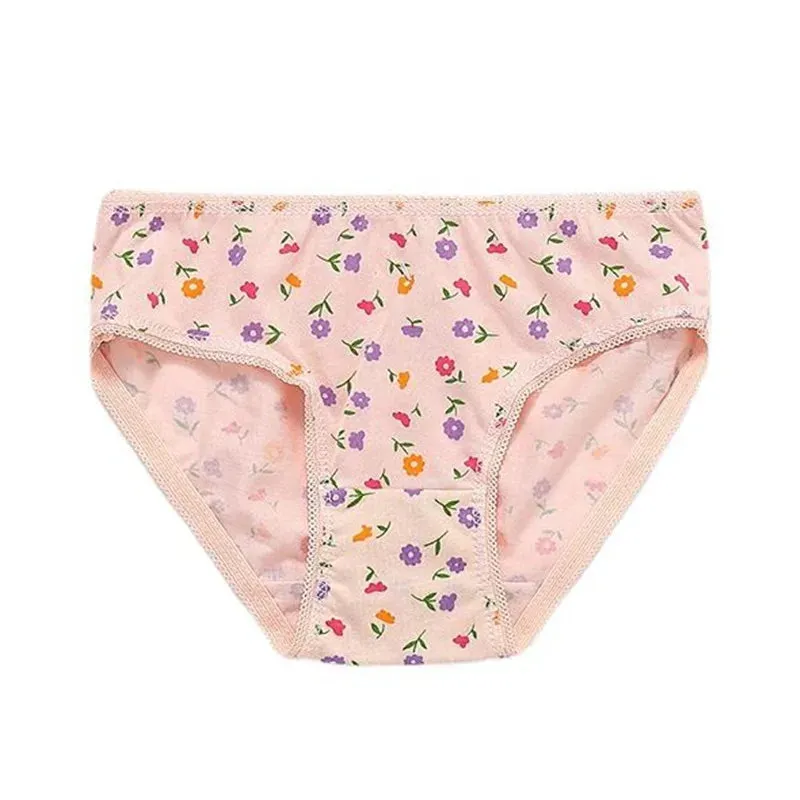 4Pcs Lot Kids Girls Short Briefs Children Underwear Cotton Underpants Baby Panties 2-12Years