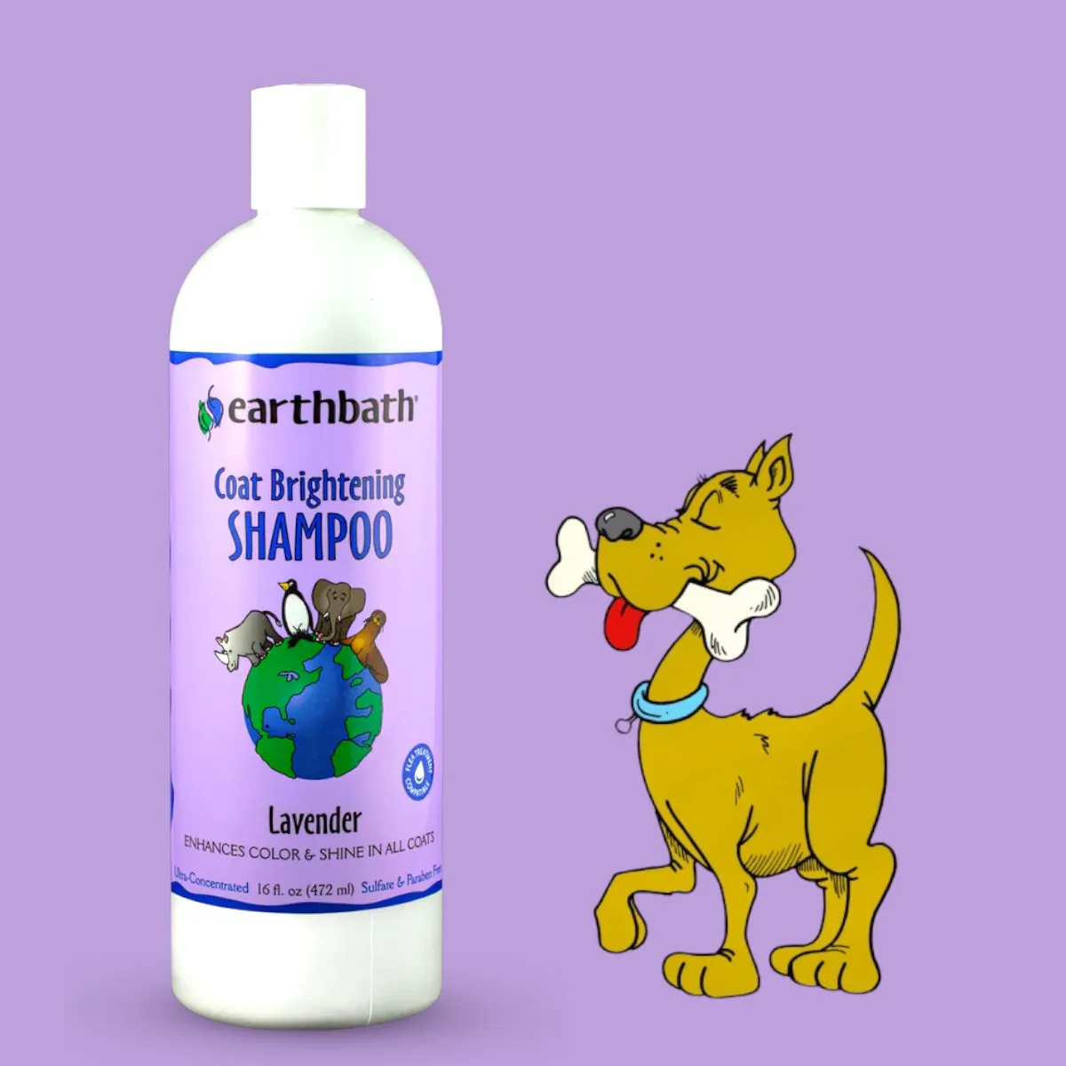 Dog Coat Brightening Shampoo Earthbath - Lavender 472ml