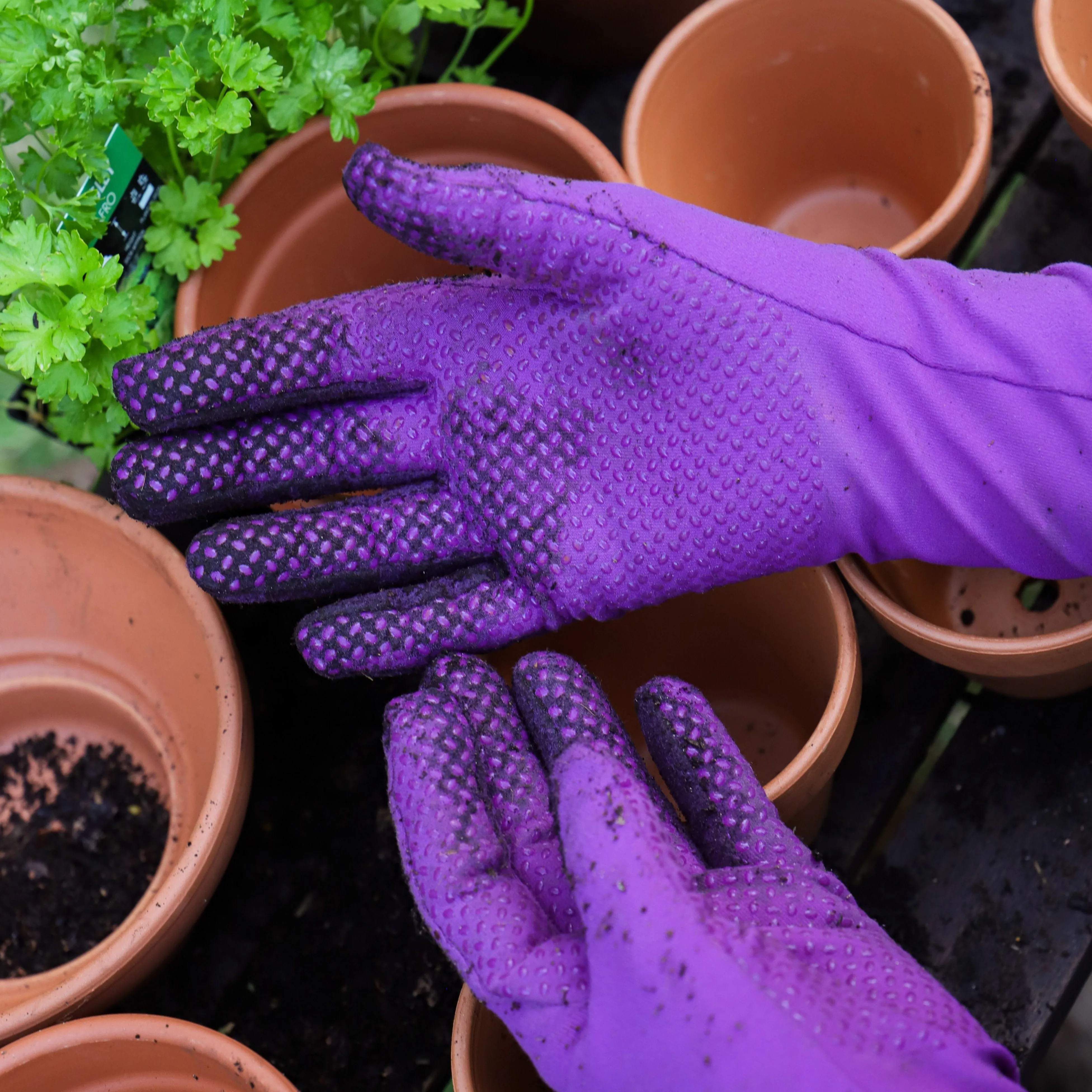 Foxgloves Elle Grip