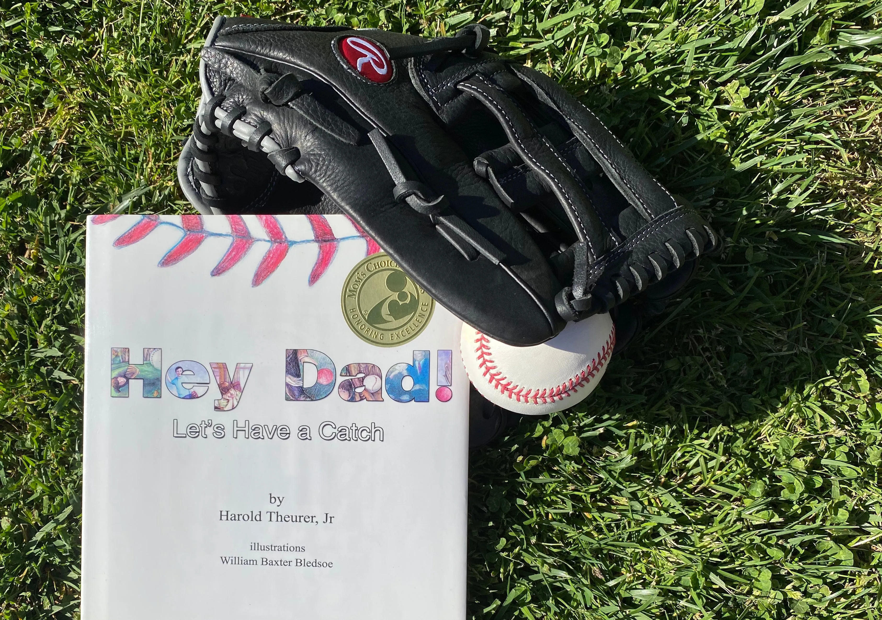 Hey Dad! Let's Have a Catch Book