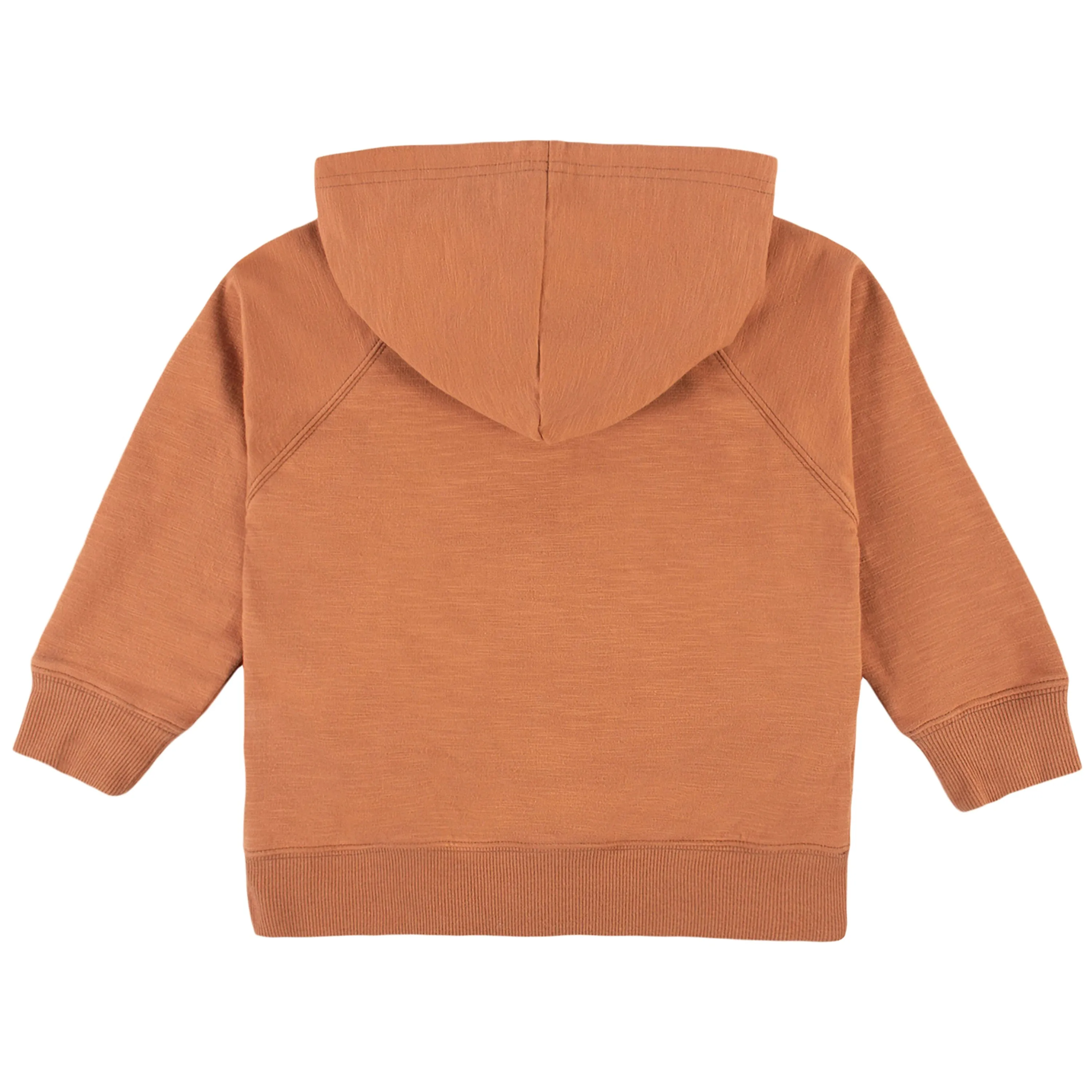 Infant & Toddler Boys Rust Orange Hoodie