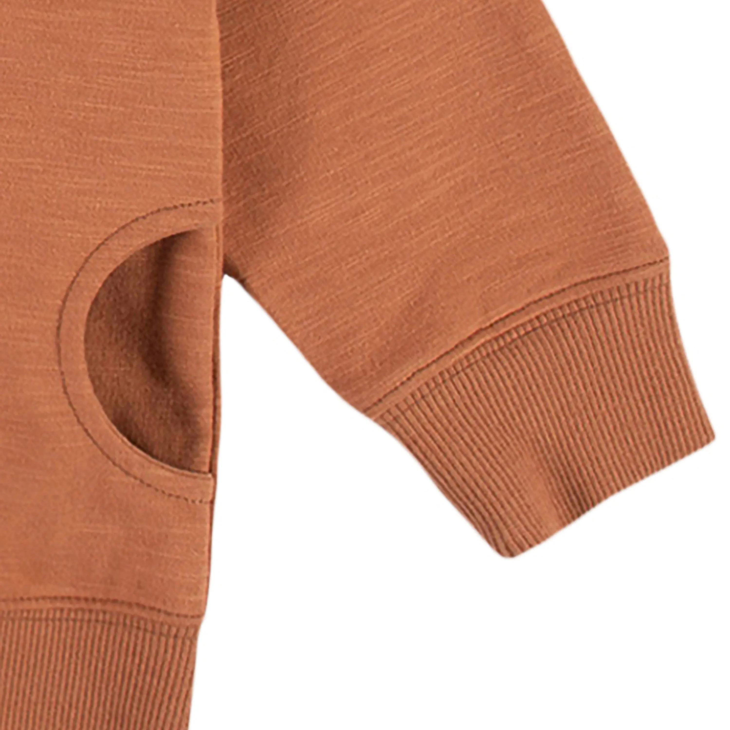 Infant & Toddler Boys Rust Orange Hoodie